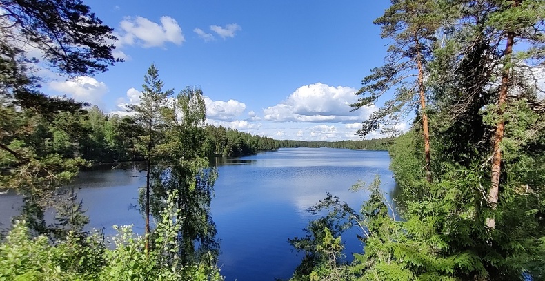 Järvimaisema